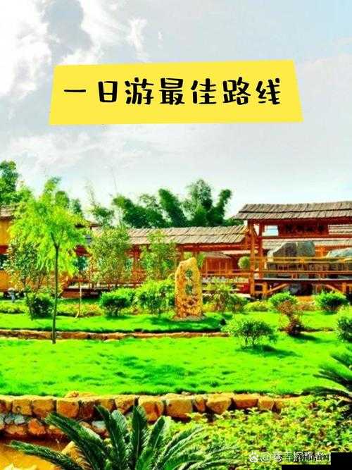 爱岛视频：带你领略独特风情