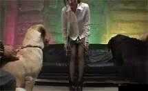 女人兽皇狗交:禁忌之爱背后的真相