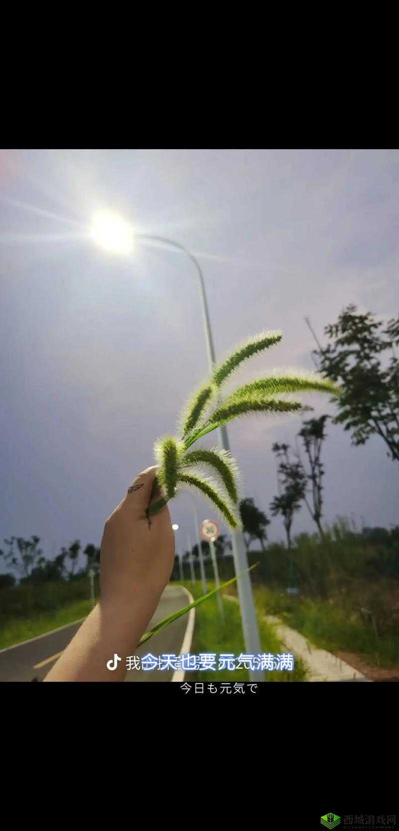 操毛：探索生命的奥秘