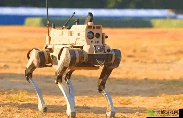 啪啪国特殊阵容搭配：变态单核战术，独步国战场