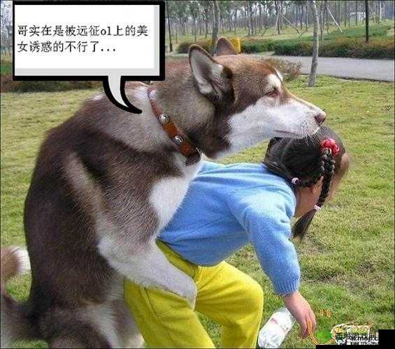 美女被操逼:不堪入目?