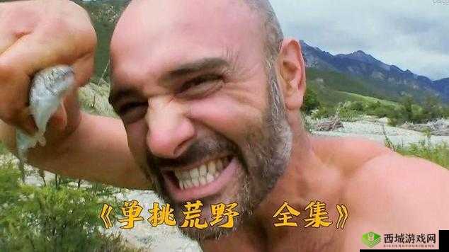 单挑荒野时巧妙赶走恶狼的实用技巧指南