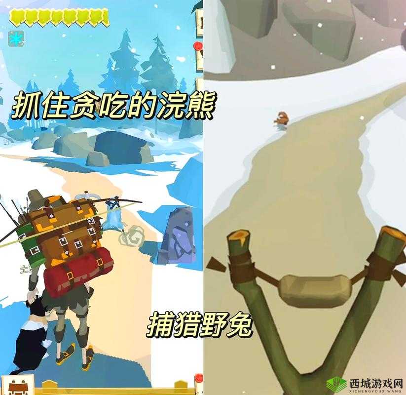 边境之旅：红绿体力差异解析