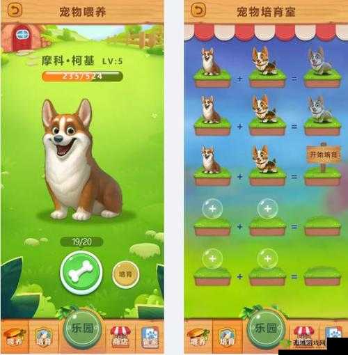 大话降魔攻略：宠物养成秘籍篇