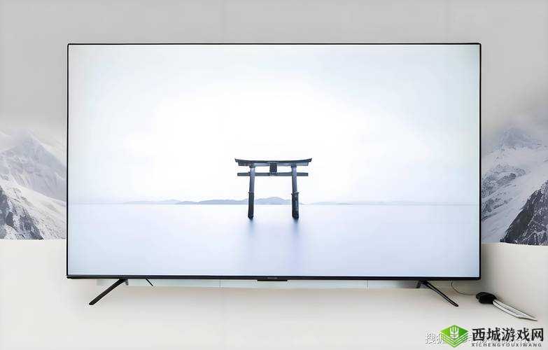 偷拍 20p：揭秘不为人知的秘密