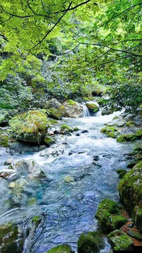 桃花洞口溪水潺潺景象描述