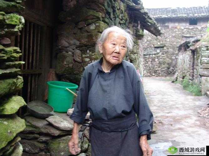 浓毛中国老太：探究老年人的生活与文化