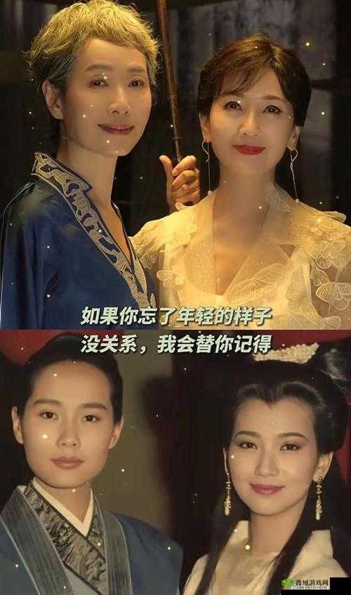 双双飞 MV:带你领略动人爱情之旅