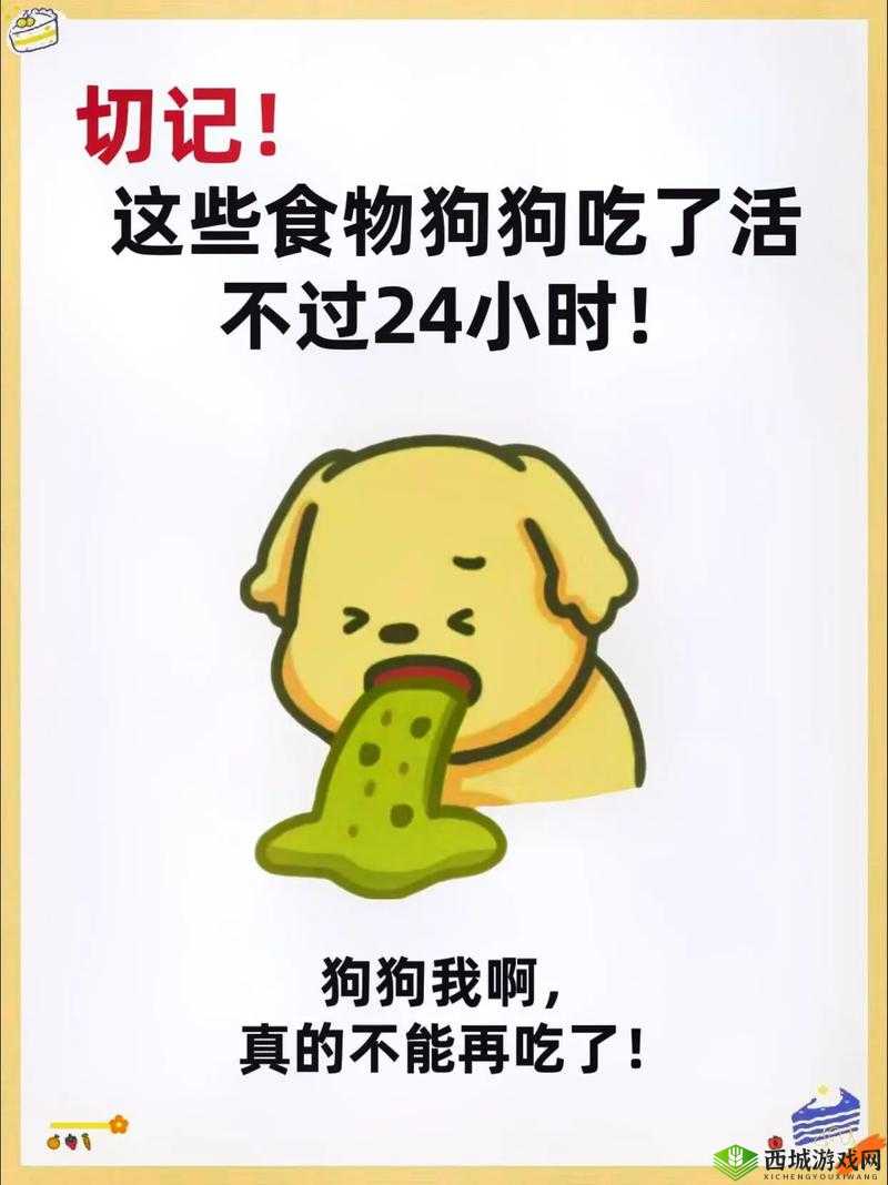 老公不在家：狗狗的东西能要吗？