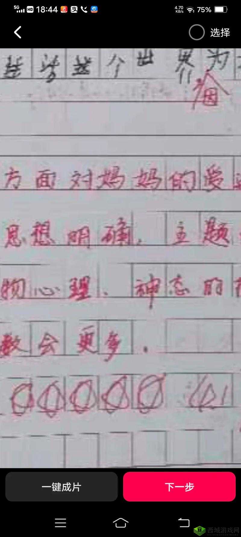 妈妈总是半夜装睡配合孩子:背后的爱与温暖