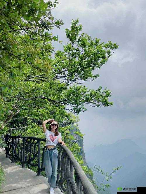 仙踪林直接入站网：探索神秘仙境的入口