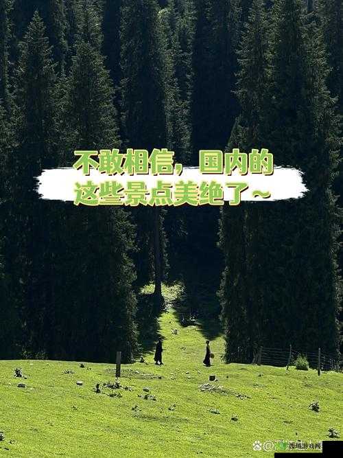 又大又长又粗：探寻其独特之处