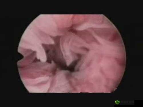 ：老女人屄特写：揭秘女性私密部位的奥秘