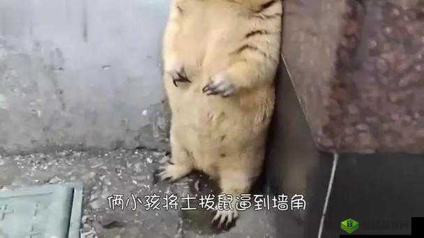 插逼逼啊啊啊:探讨 XX 话题