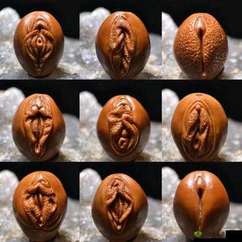 女性生殖高清特写 HD:探索生命奥秘