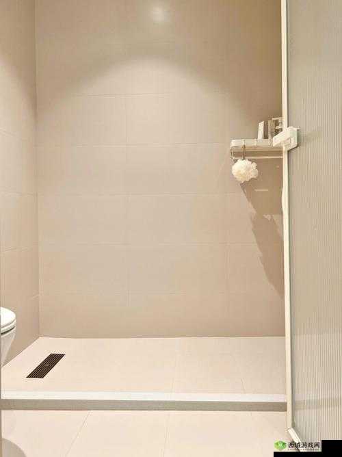 苹果洗手间原声：奇妙的洗手间体验