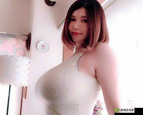 日韩有码与日韩无码的区别探讨