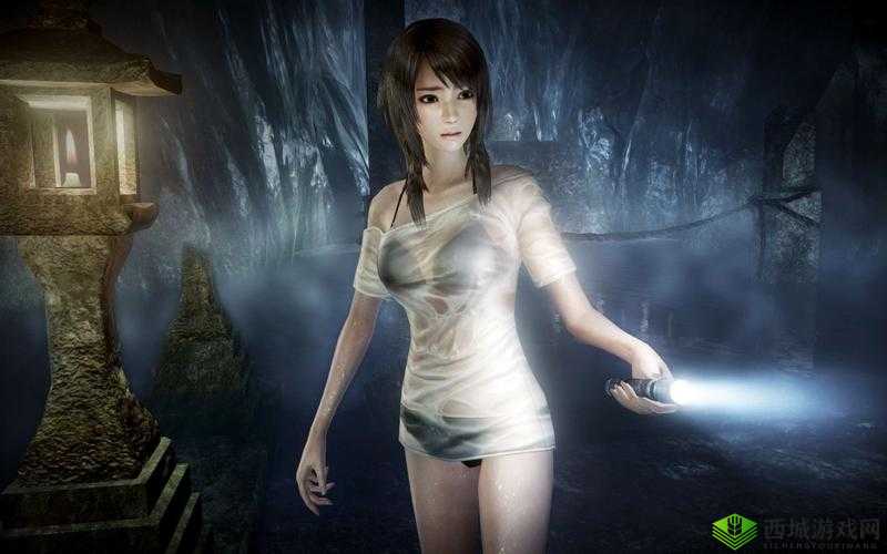 《零濡鸦之巫女》全残影位置攻略：详细指引探索游戏中的每处隐秘残影位置