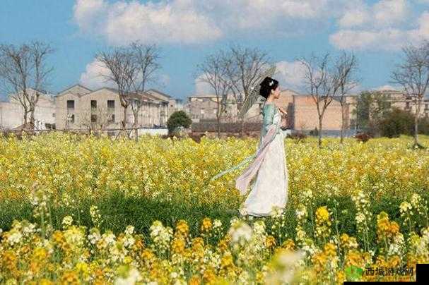 野花日本中文版免费观看：高清无码，尽享视觉盛宴