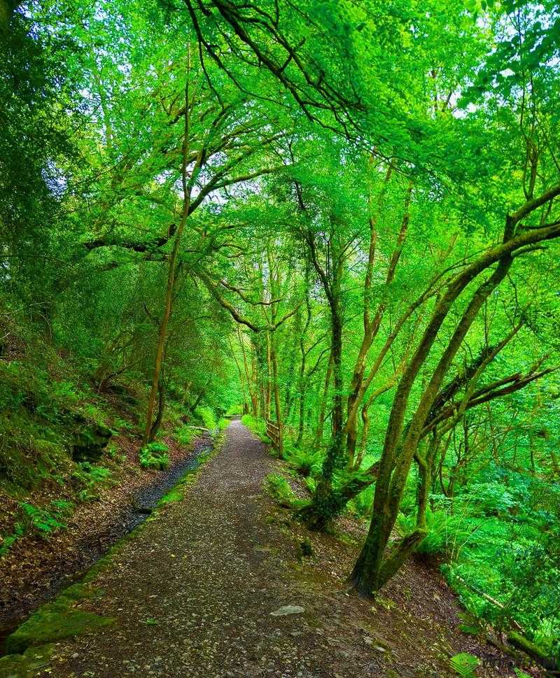 乱交二三区：探索刺激的别样世界