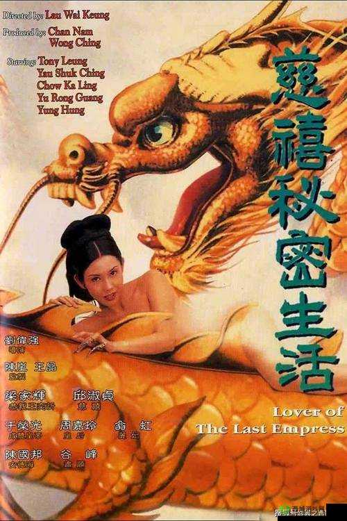 成人影片在线观看：满足你的私密需求