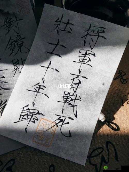 老年镖客：黄沙百战穿金甲，壮士十年归