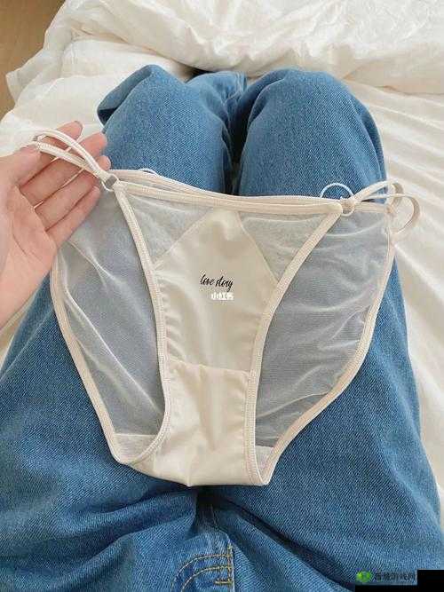 美女脱了内裤打开腿让人羞羞软件：诱惑与私密的极致体验