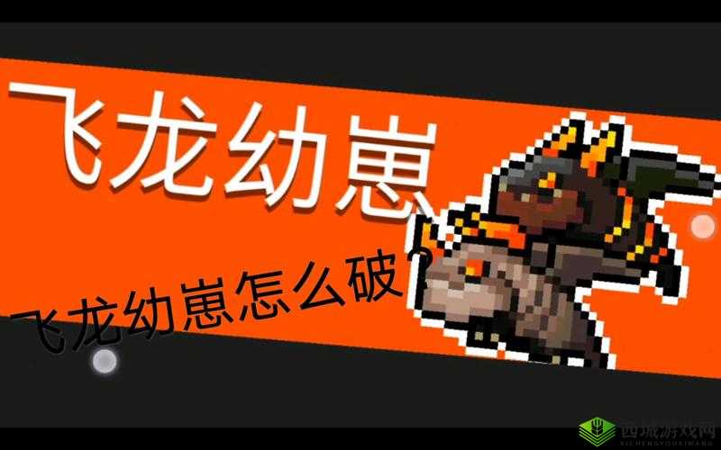 元气骑士飞龙幼崽攻略:先灭白龙,轻松制胜的关键打法教学