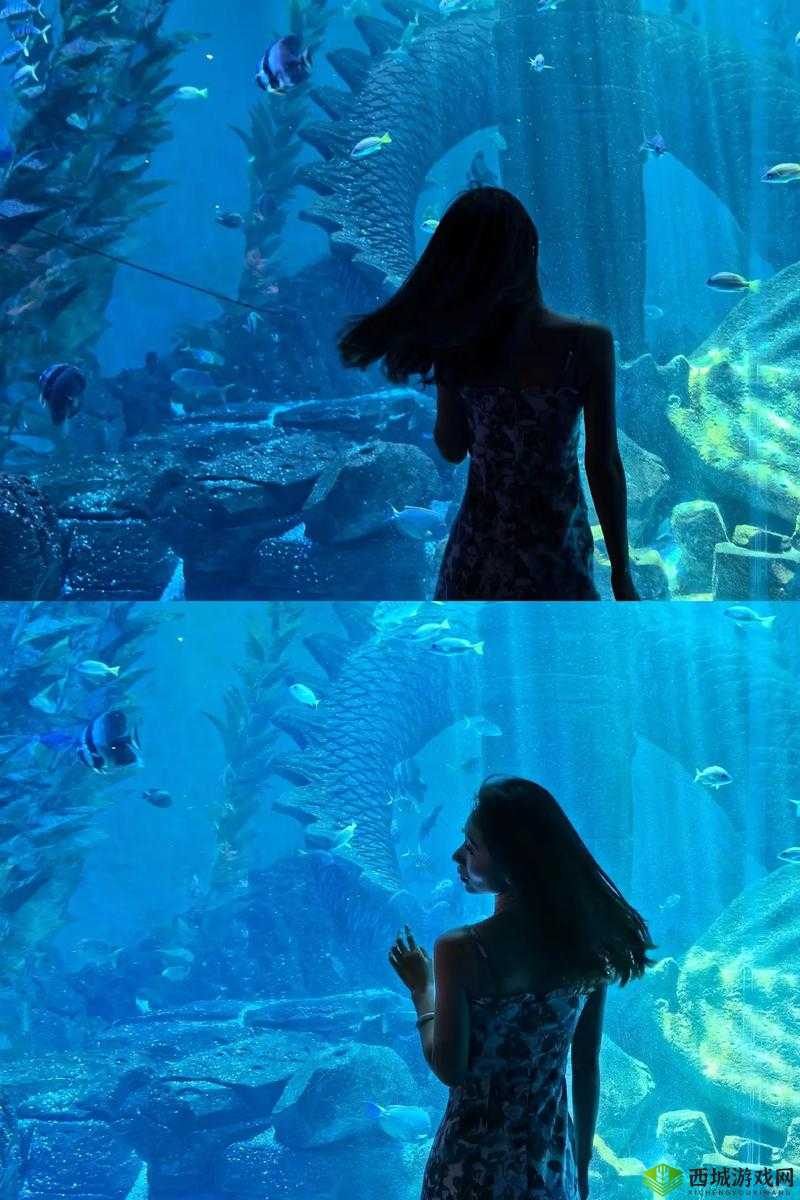 xxxxhd69 的奇妙之旅