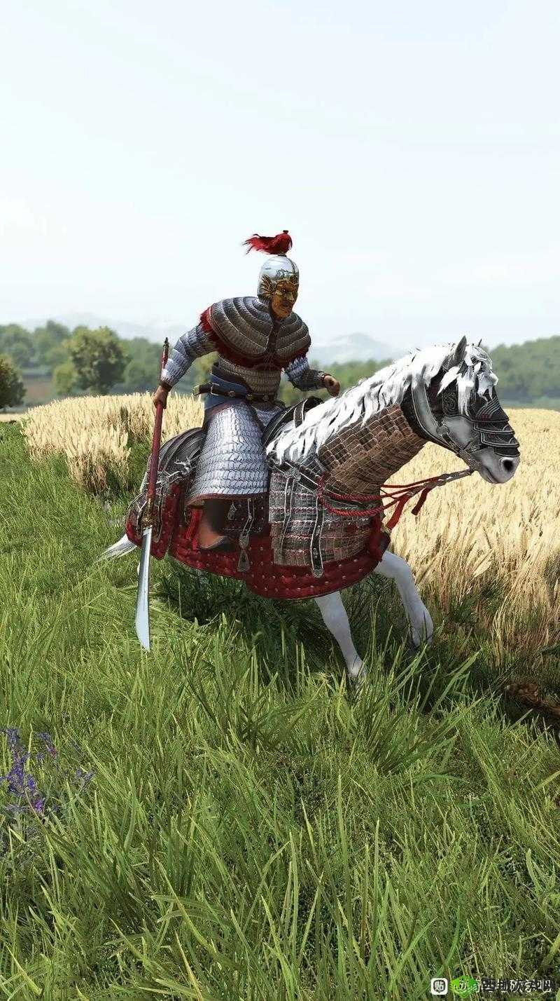 骑马与砍杀2自立攻略：快速建国心得分享