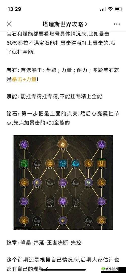 盐和避难所圣骑士攻略大全：初始属性解析与成长指南