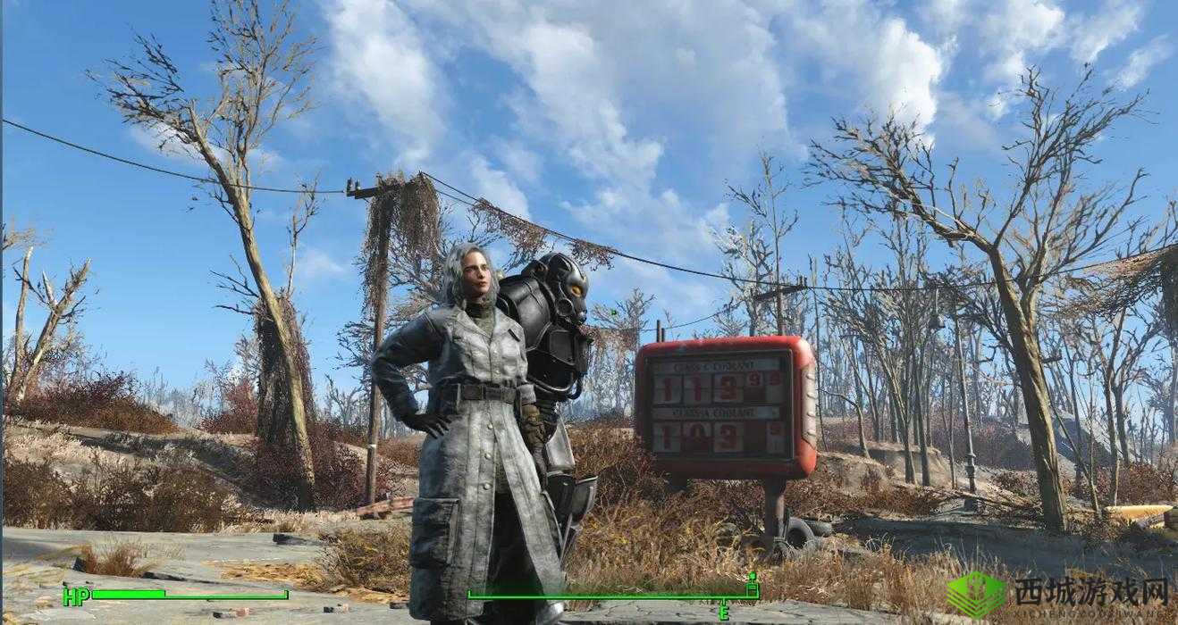 辐射4主角老冰棍：身世与由来揭秘