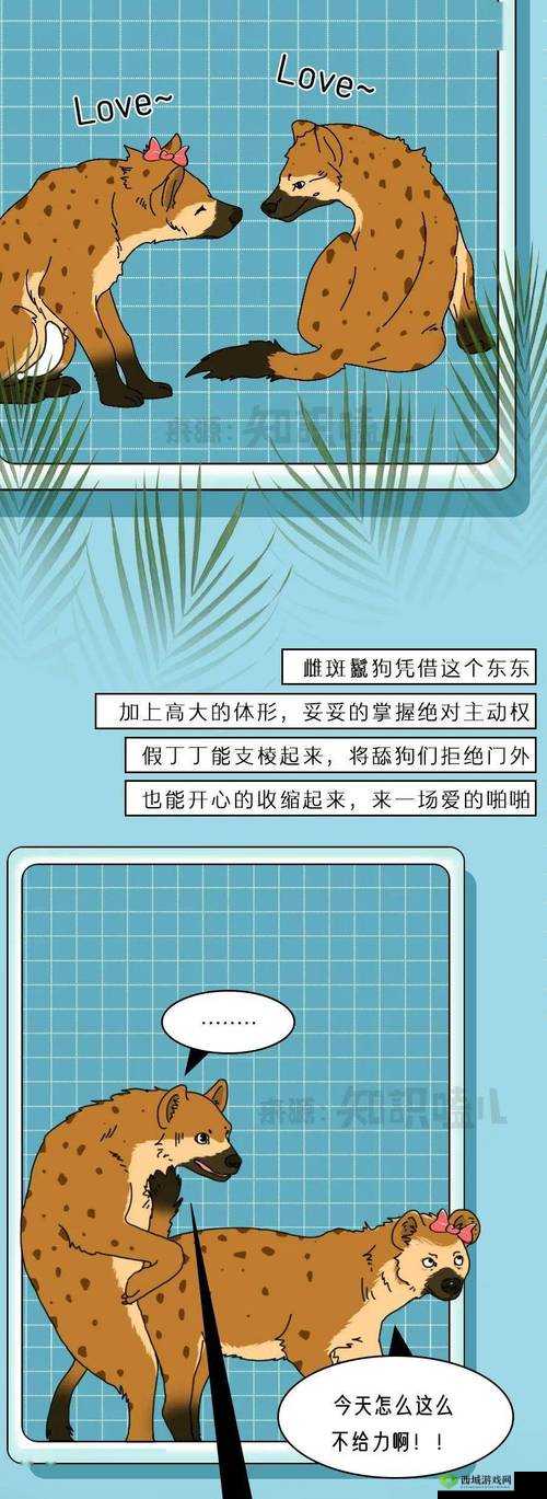 给大家科普一下涩涩屋相关知识