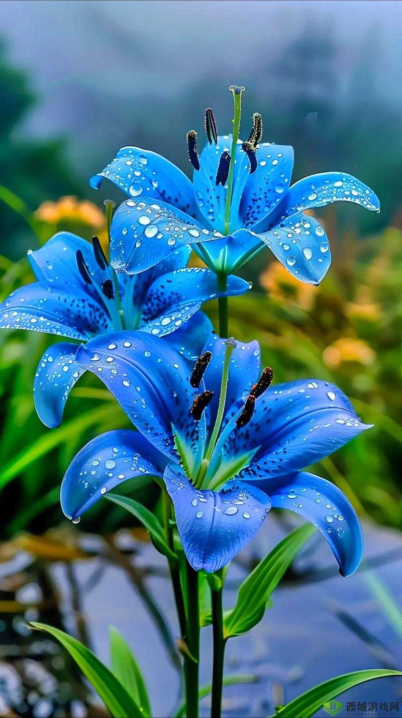 热热色色：独特而迷人的存在