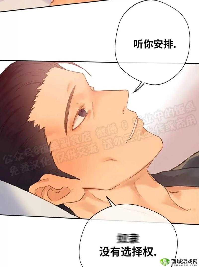 S 如何调教 M 小狗：趣味互动与训练之道