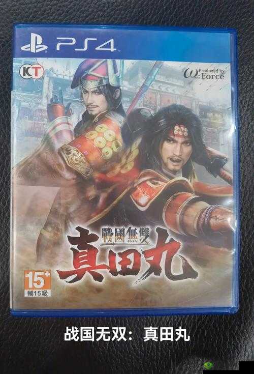 战国无双真田丸报错解决方案:解决游戏错误代码1006的方法指南