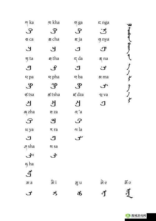 蒙古 B 型与 B 型比较