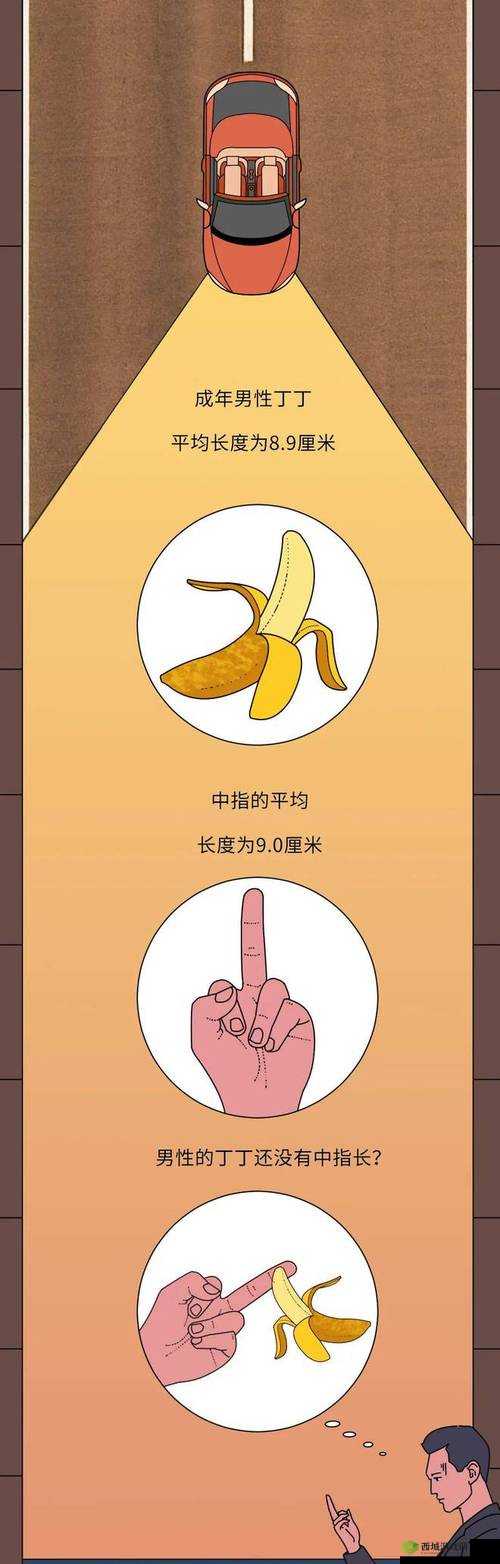 如何自 w 到高 c 亲身教学：提升性技巧的私密指南