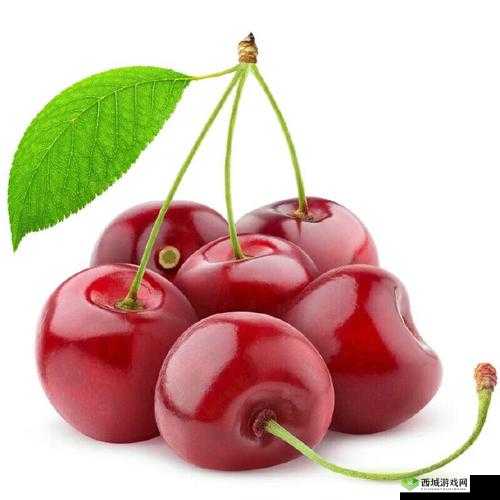 www97com 樱桃：新鲜美味的水果之选
