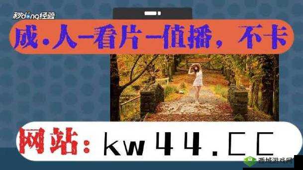 xkdsp.appv6.0.0 隐藏入口：安全、稳定、私密