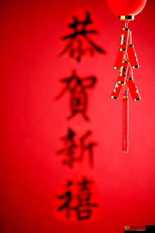 星空无限传媒回家过年：共迎新春团聚时刻