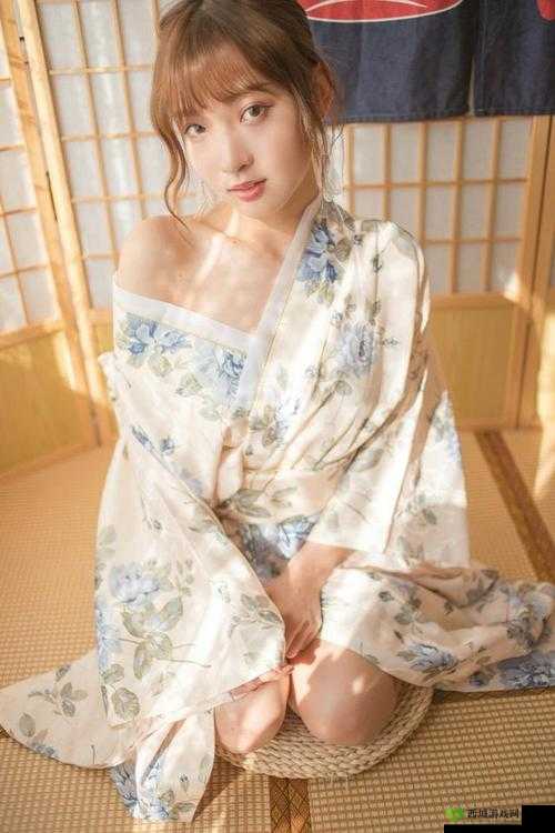 日本无码鲁丝中文字幕：揭秘日本成人影片的奥秘