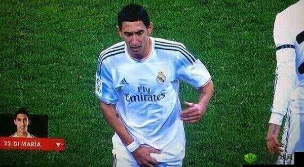 掏出来即进入抽插的行为描述