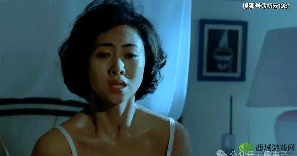 国产 R 级片区:独特的电影魅力