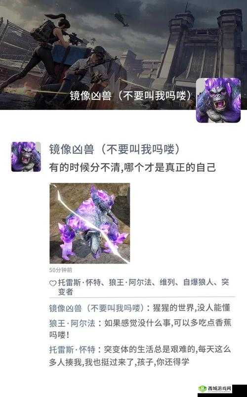 91 狼人社：探索神秘的社交圈子