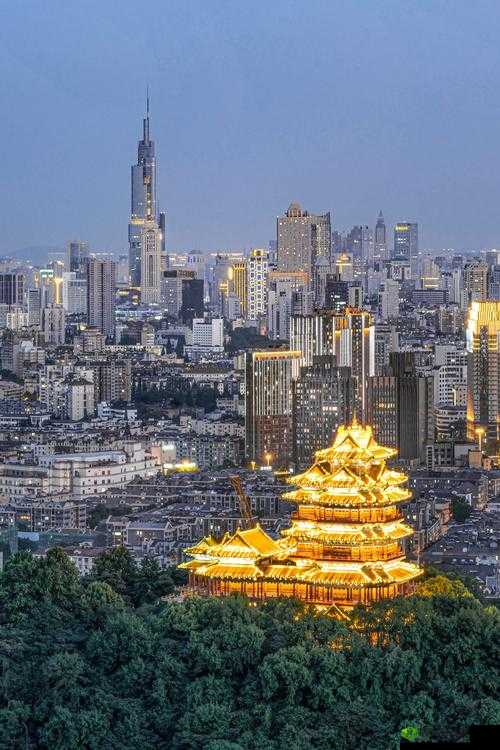 抠屄自拍区:私密自我展现的独特视角