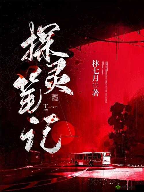 《探灵笔记：灵探新手入门指南》