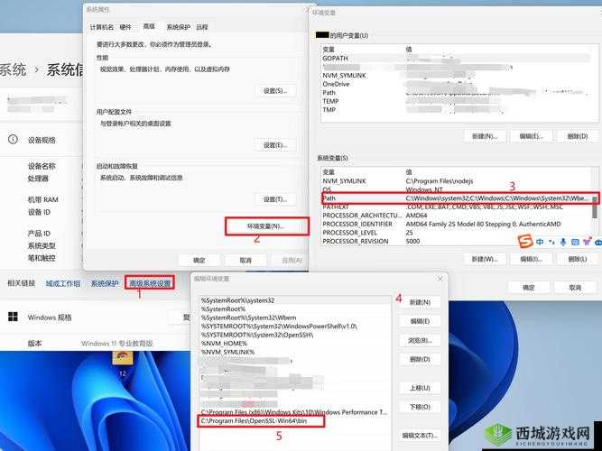 老奶奶 vpswindows：网络热点词汇背后的故事