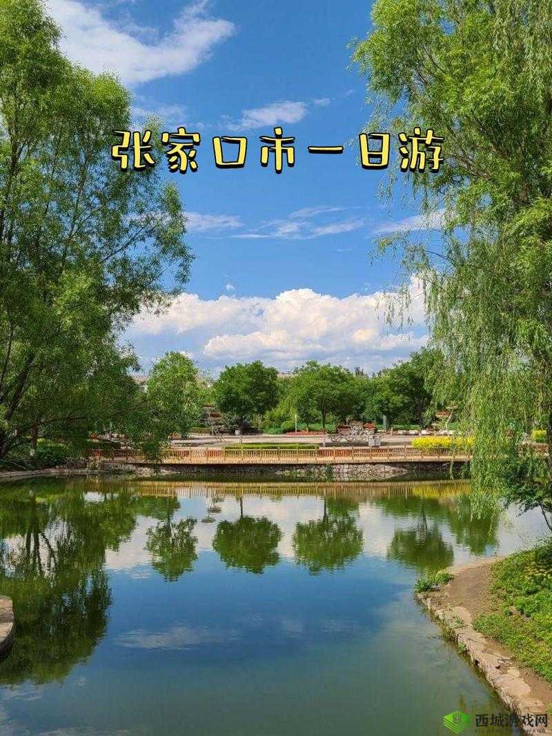 国产一区二区三区在线：无尽激情，尽在这里