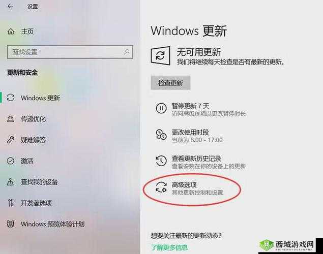 侠客风云传 win10 系统升级需注意的关键要点